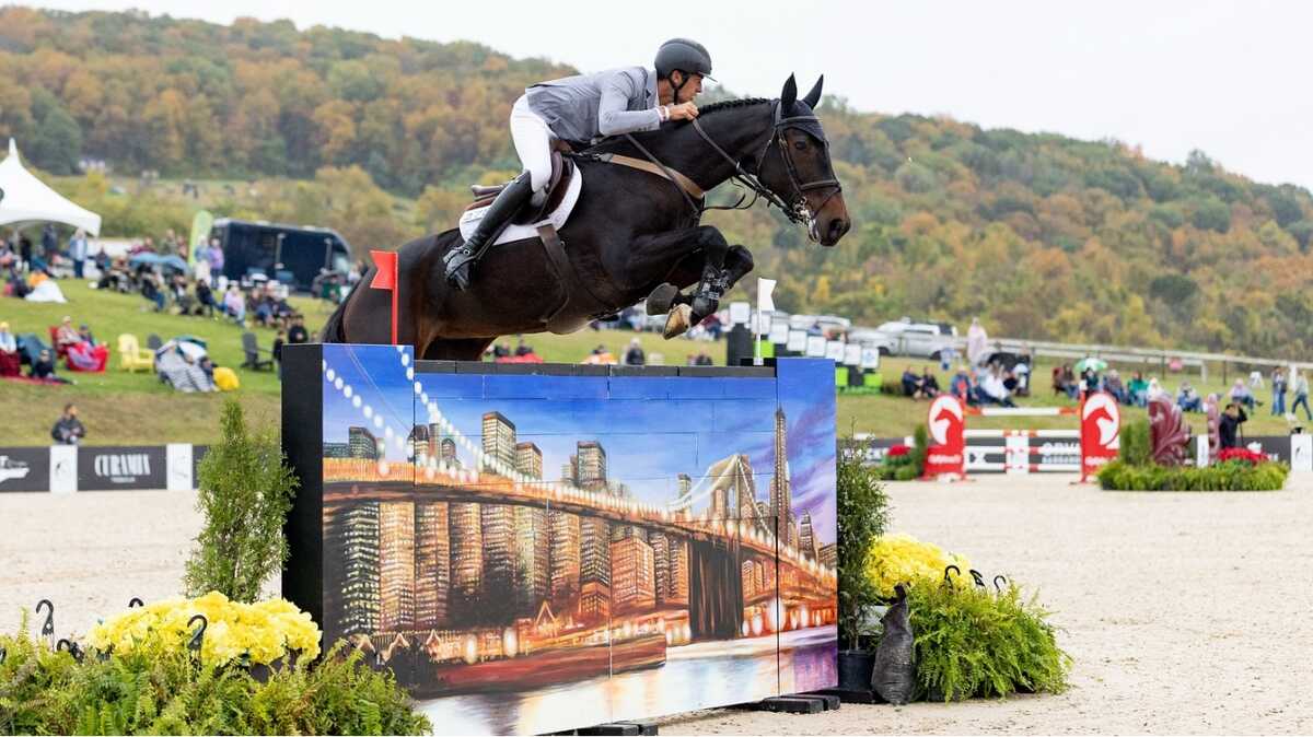 Horse and rider jumping wall with cityscape in stadium ring