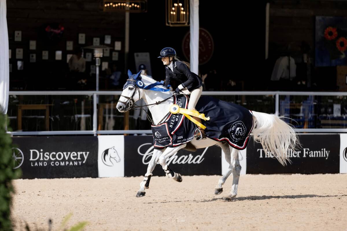 Horse and rider with ribbons and blanket in victory gallop