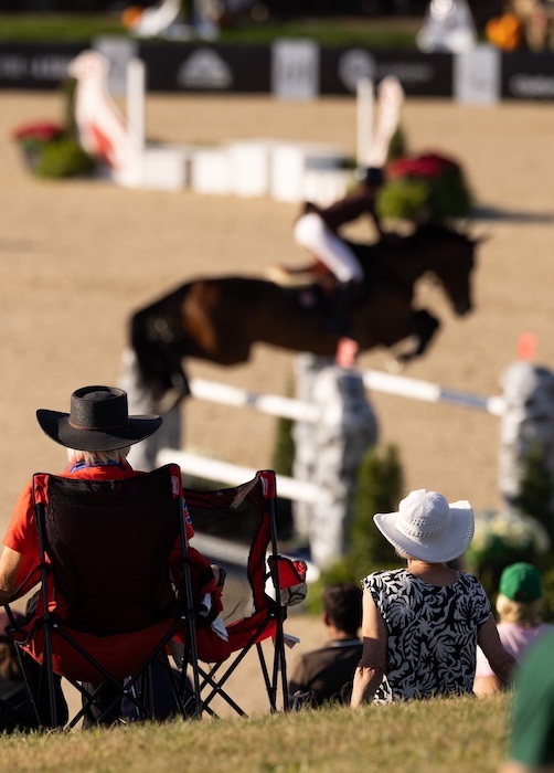 Spectators watching bay horse jumping oxer.