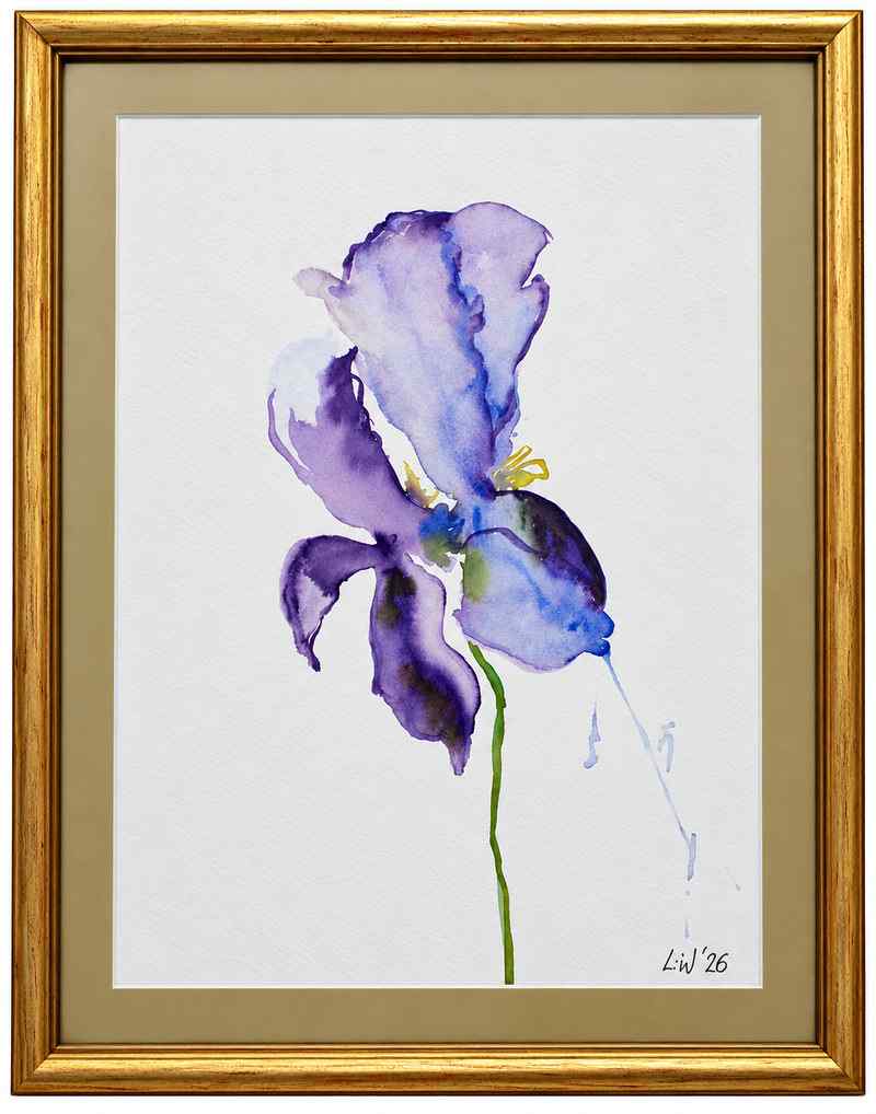Violet III, 2026