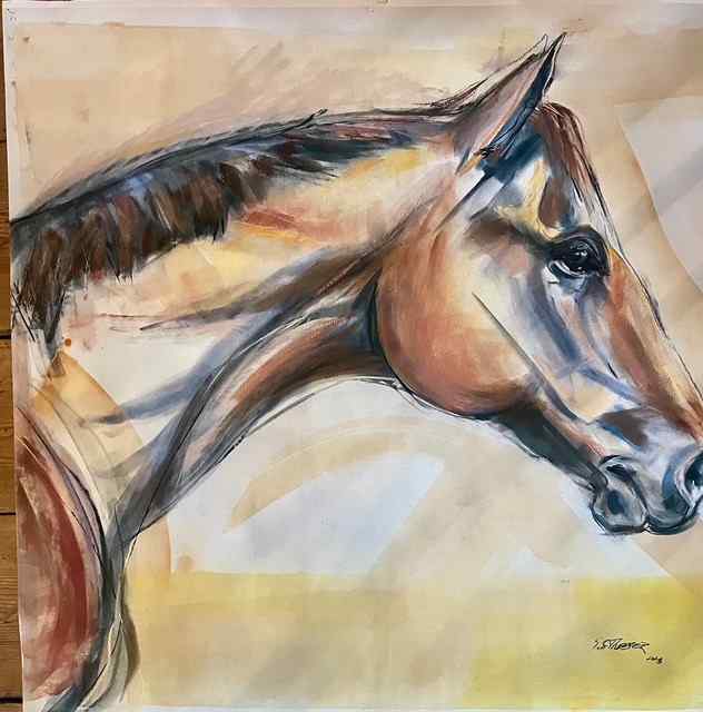 “Governor” — English Thoroughbred gelding