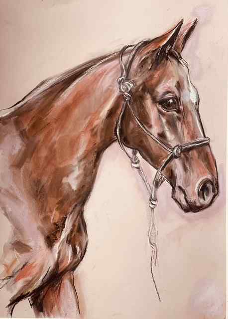 “Sula” — Argentine Thoroughbred